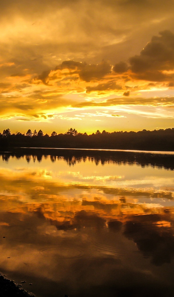 Красивый рассвет над спокойной рекой 
