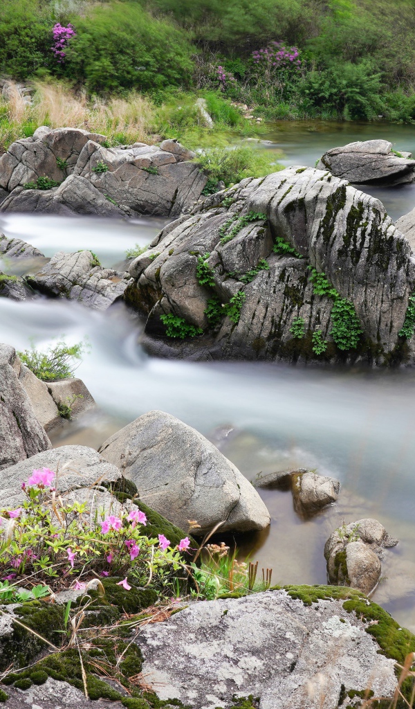 Большие камни в горной реке 