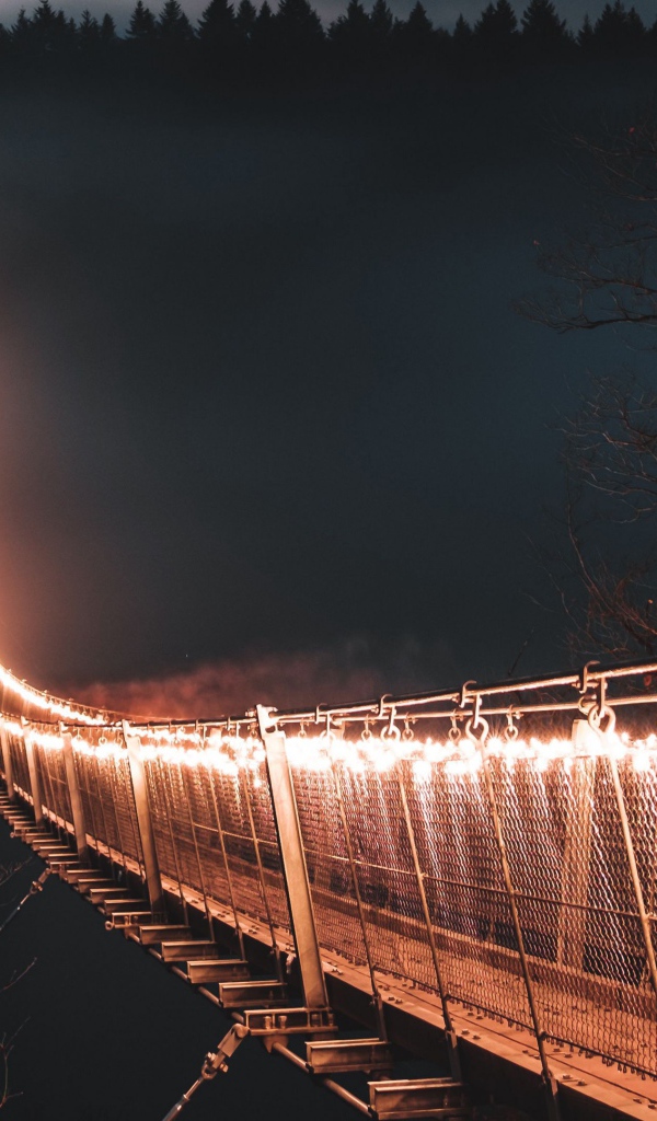 Мост с фонарями через реку в тумане ночью 