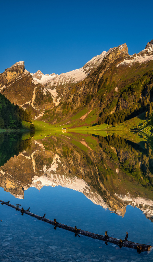 Чистая вода в озере у подножия гор, Швейцария 