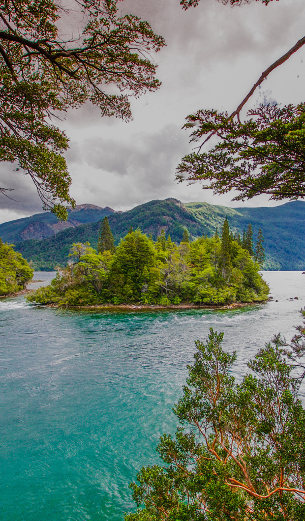 Зеленый остров посередине реки с голубой водой 