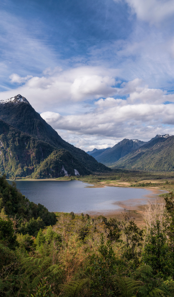 Озеро у гор в зеленых зарослях 