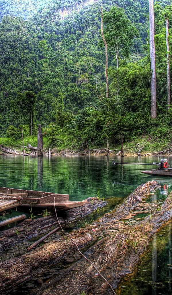 Старые деревянные лодки на берегу реки