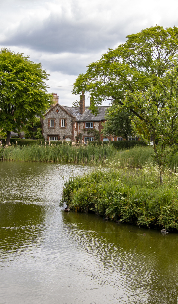 Улица с прудом и зеленой растительностью 