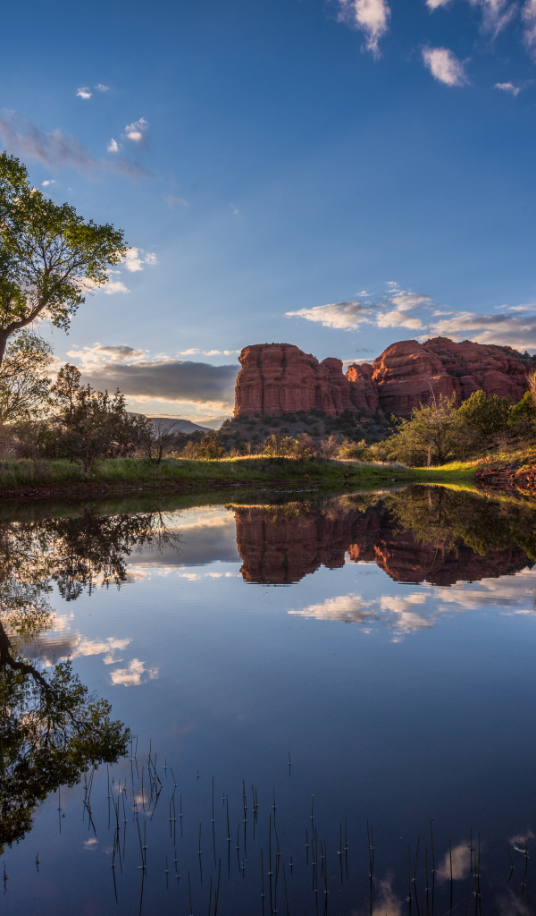 Яркое солнце пробивается сквозь деревья у пруда