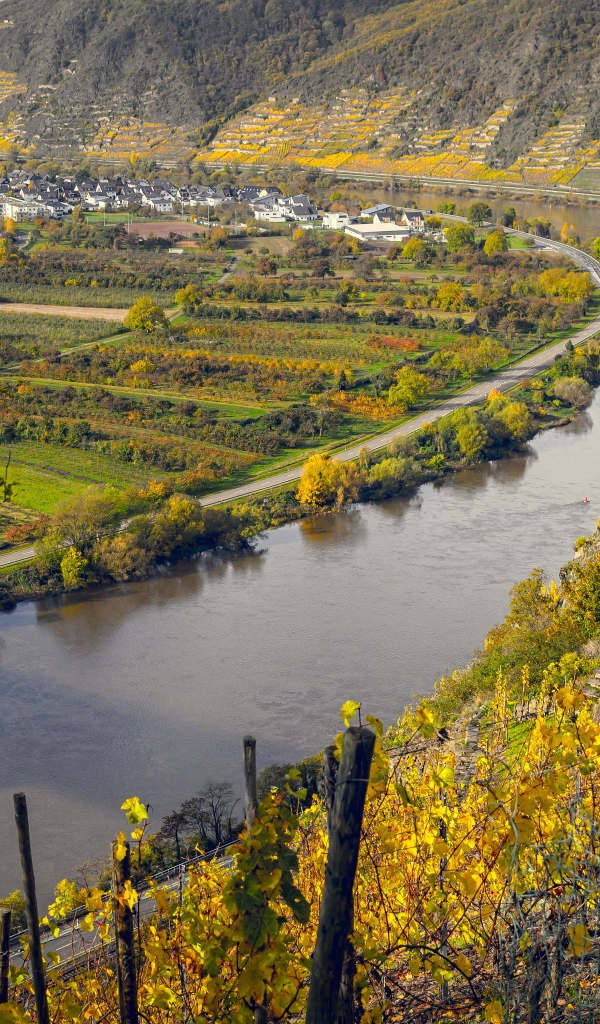 Вид сверху на реку и виноградники 