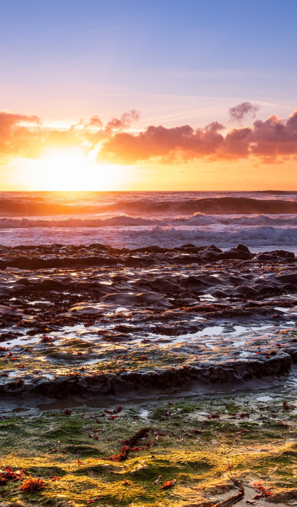 Большой камень в морской воде на рассвете 
