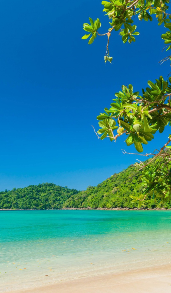 Голубая вода океана на тропическом пляже с белым песком