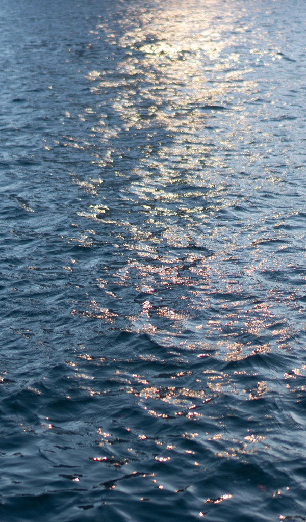 Спокойное море крупным планом