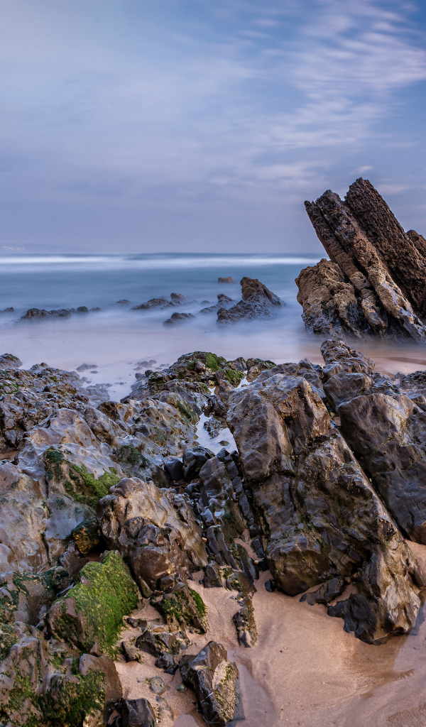 Туман над холодным утренним морем с камнями на берегу 