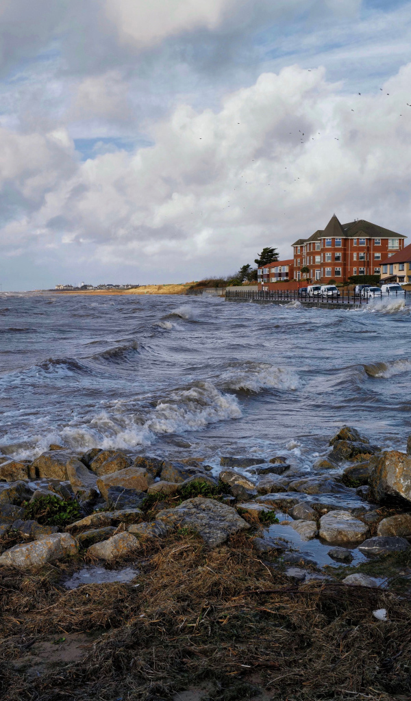 Дома на берегу бушующего залива 