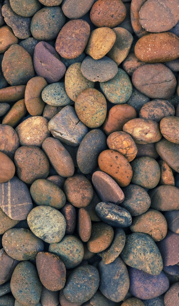 Много мелких морских камней крупным планом