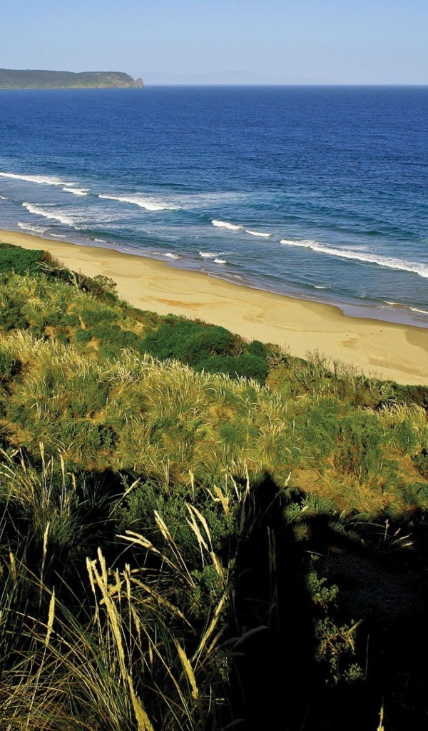 Вид на морское побережье 