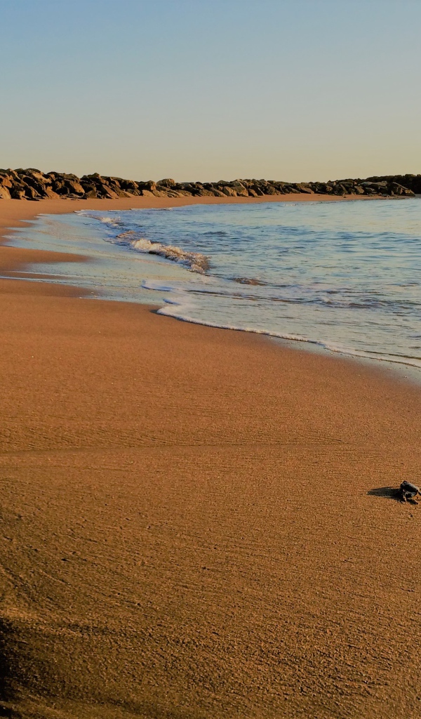 Камни на мокром песке к моря 