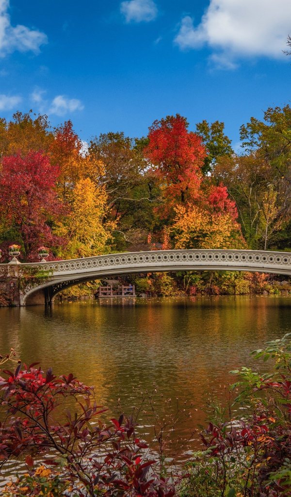 Красивый мост через реку осенью 