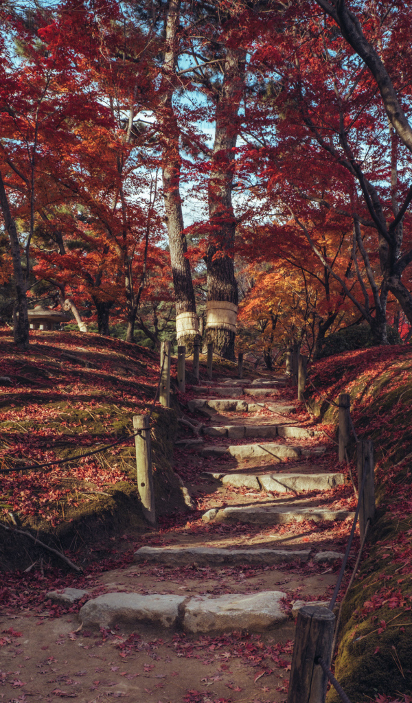 Лестница в осеннем парке, Япония 