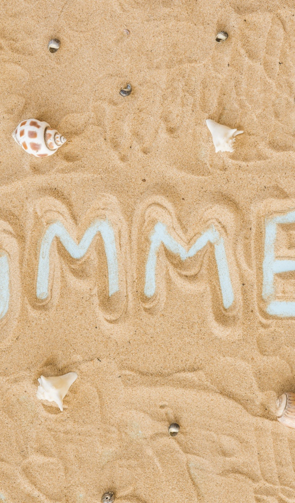 Надпись summer на желтом песке с ракушками и морской звездой