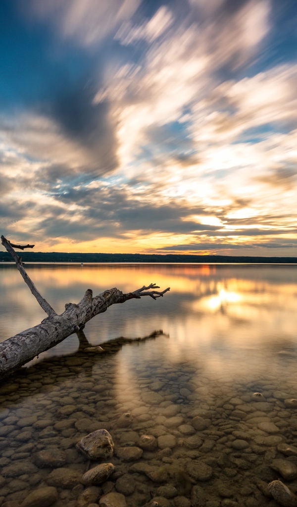 Старое дерево лежит в воде на закате солнца 