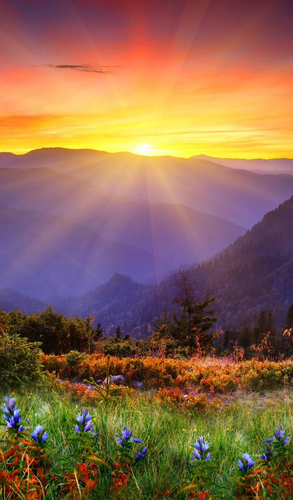 Яркое солнце покрывает вершины гор и красивую природу 