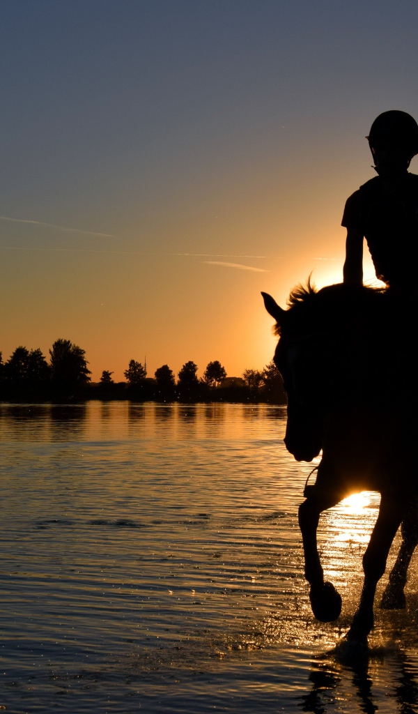 Девушка на лошади скачет по воде на фоне заката