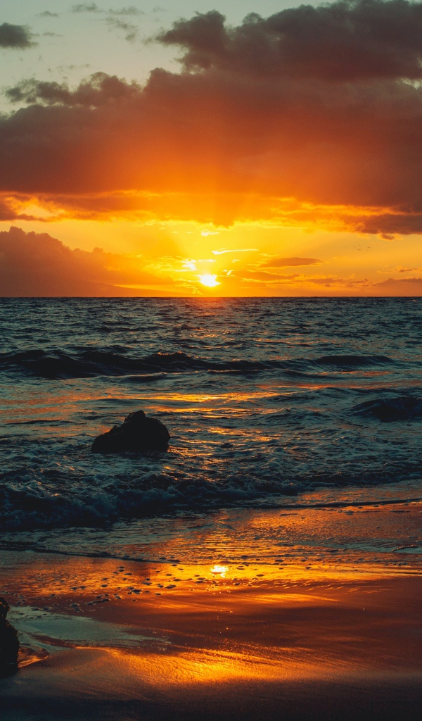 Мокрый песок на берегу океана на закате