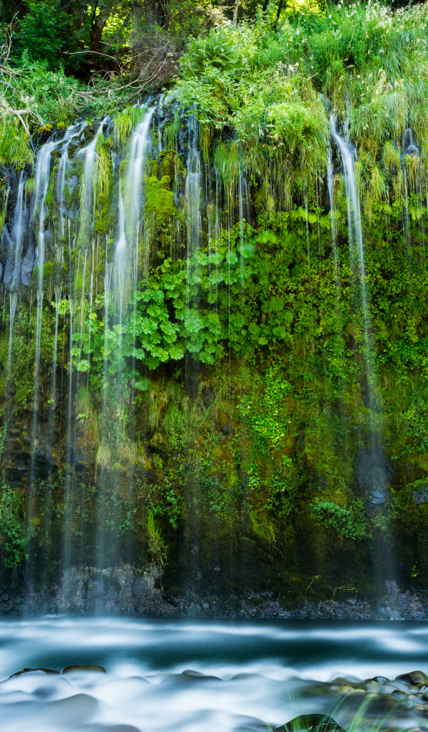 Красивый водопад стекает по покрытом зеленью утесе 