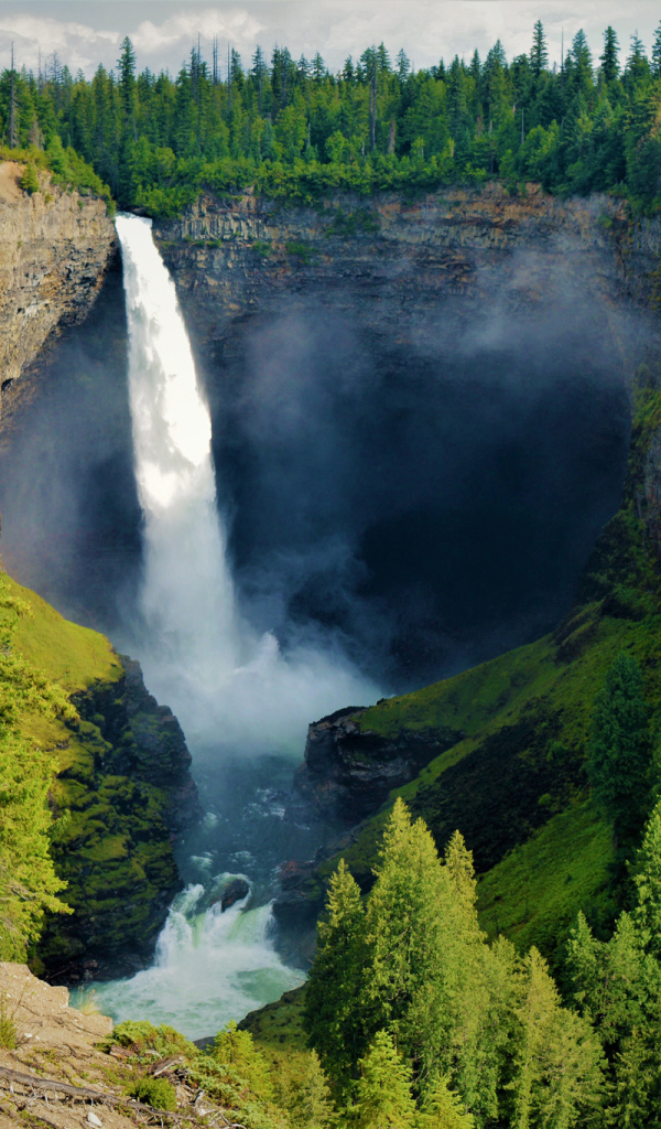 Водопад стекает с утеса в лесу, Канада 