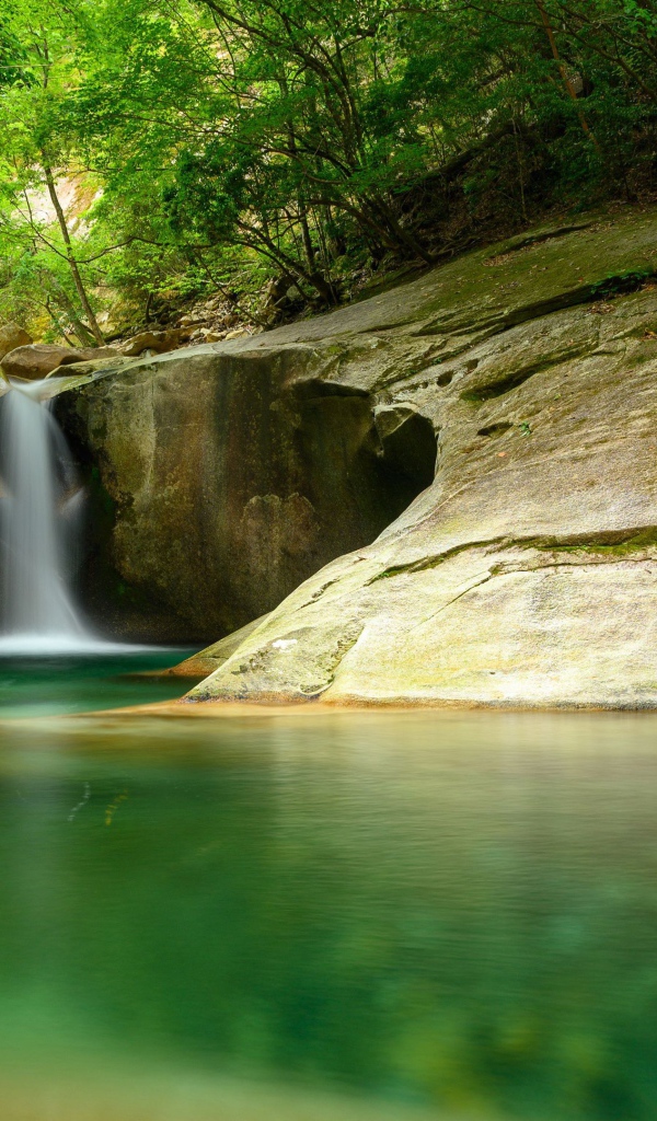 Водопад стекает по скале в озеро в лесу