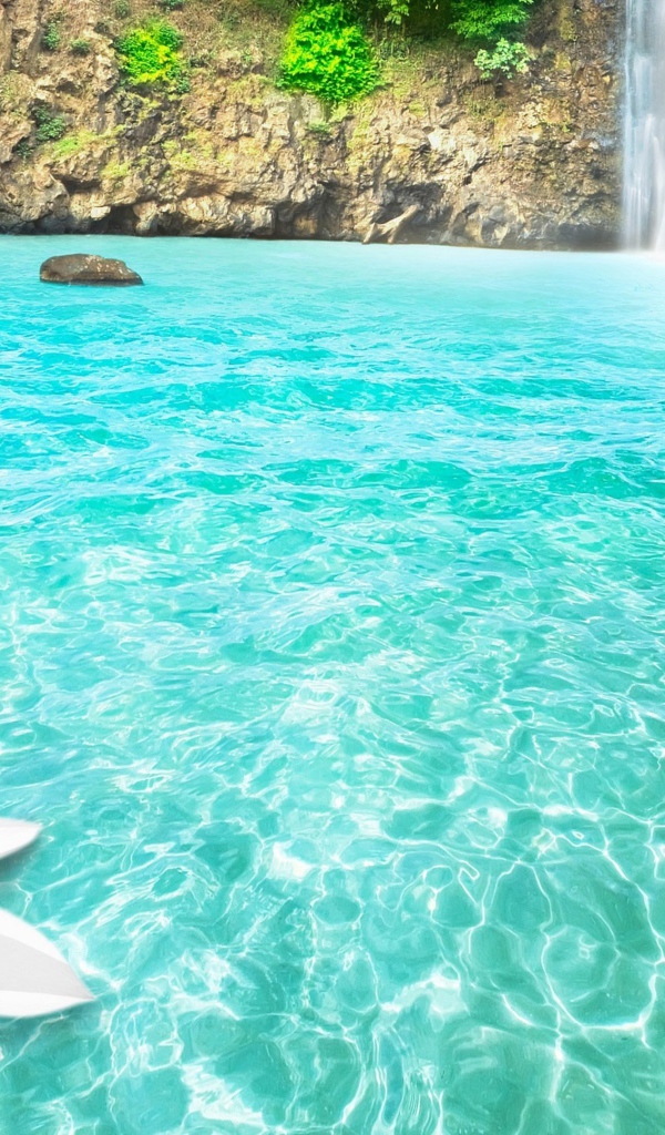 Большой белый цветок в голубой воде у водопада 