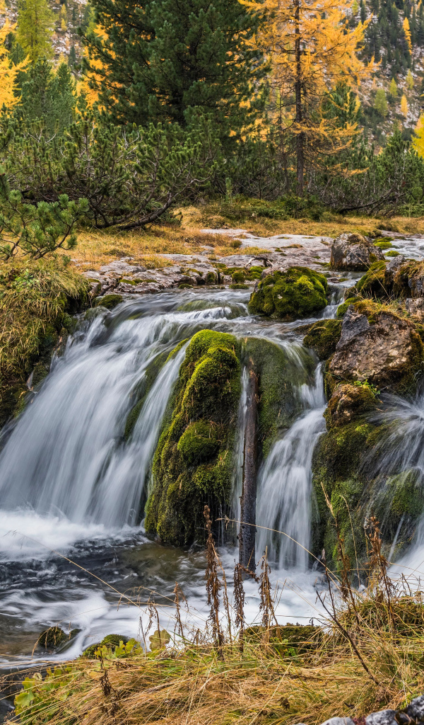 Быстрая вода водопада стекает по камням в осеннем лесу