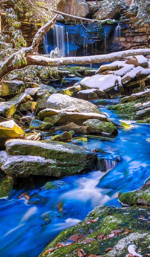 Первый снег покрыл камни у лесного ручья