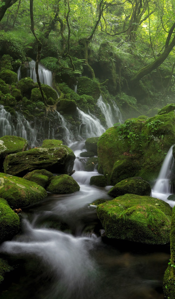 Вода стекает по старым покрытым мхом камням