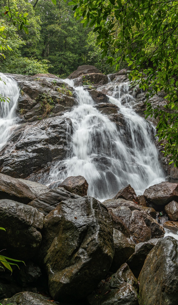 Водопад стекает по большим мокрым камням в лесу 