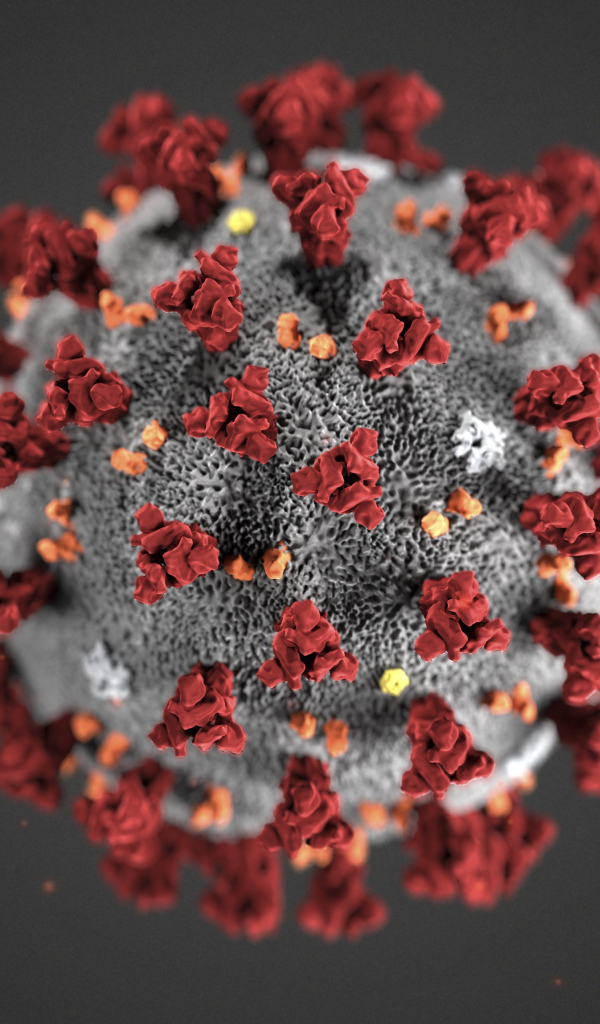 Коронавирус COVID-19 на сером фоне