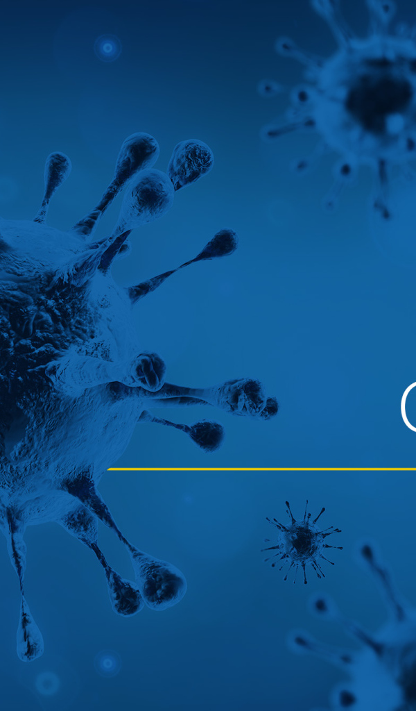 Пандемия коронавирус covid-19, 2020 год 