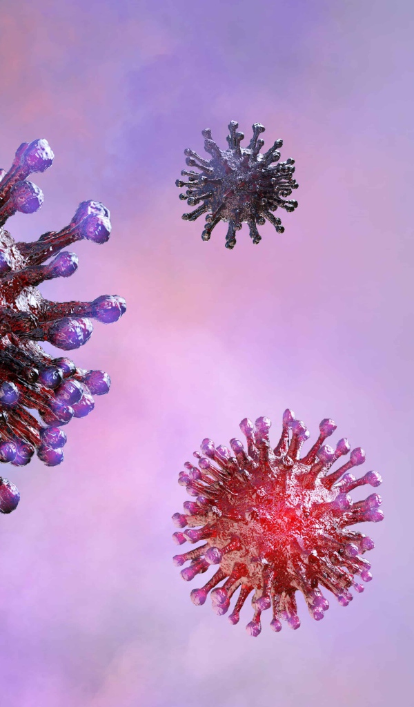 Вирусы коронавируса covid-19 на фиолетовом фоне