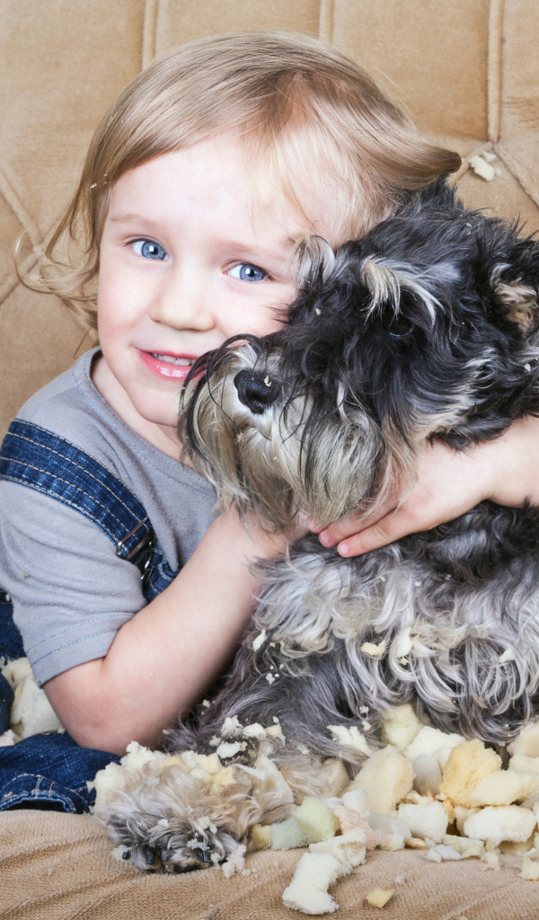 Маленький мальчик сидит на диване с собакой породы Шнауцер