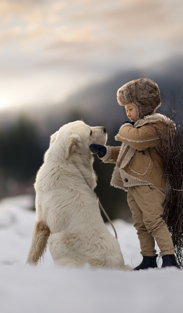 Маленький мальчик с большой белой собакой в лесу 
