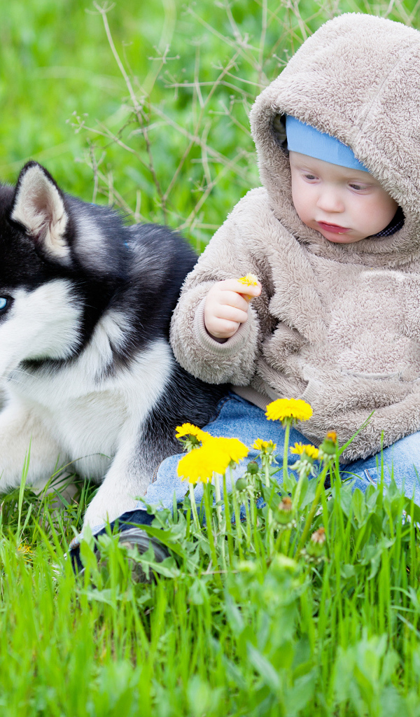 Маленький ребенок сидит в зеленой траве с хаски 