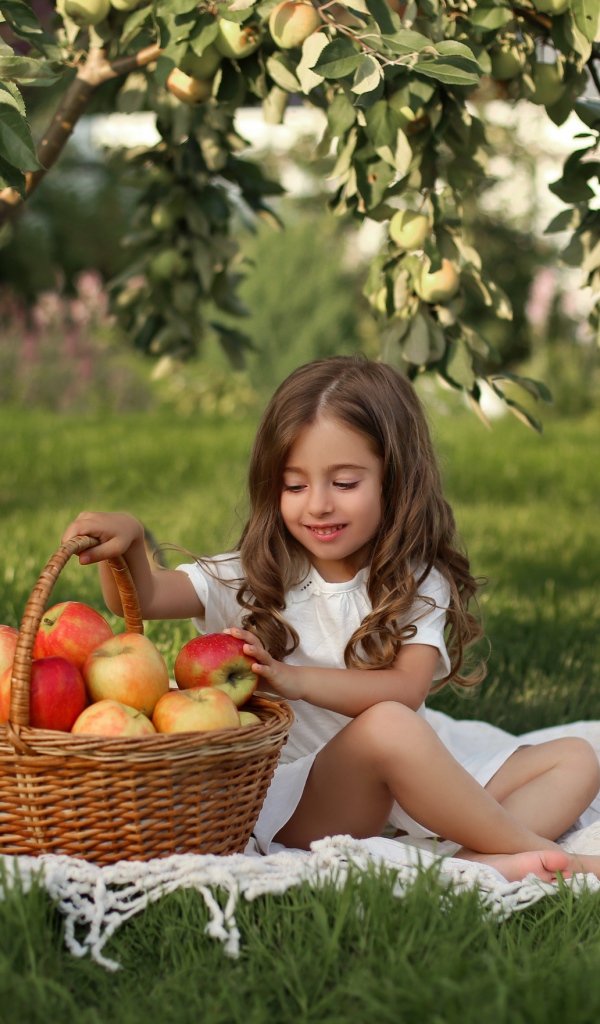 Маленькая девочка сидит с корзиной с яблоками на траве