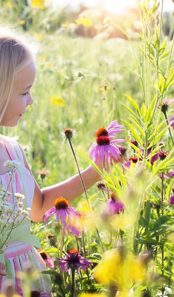 Little girl walks on a field with Echinacea flowers