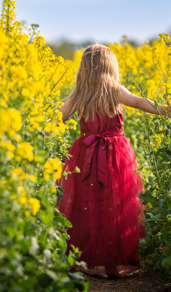 Маленькая девочка идет по полю с желтыми цветами