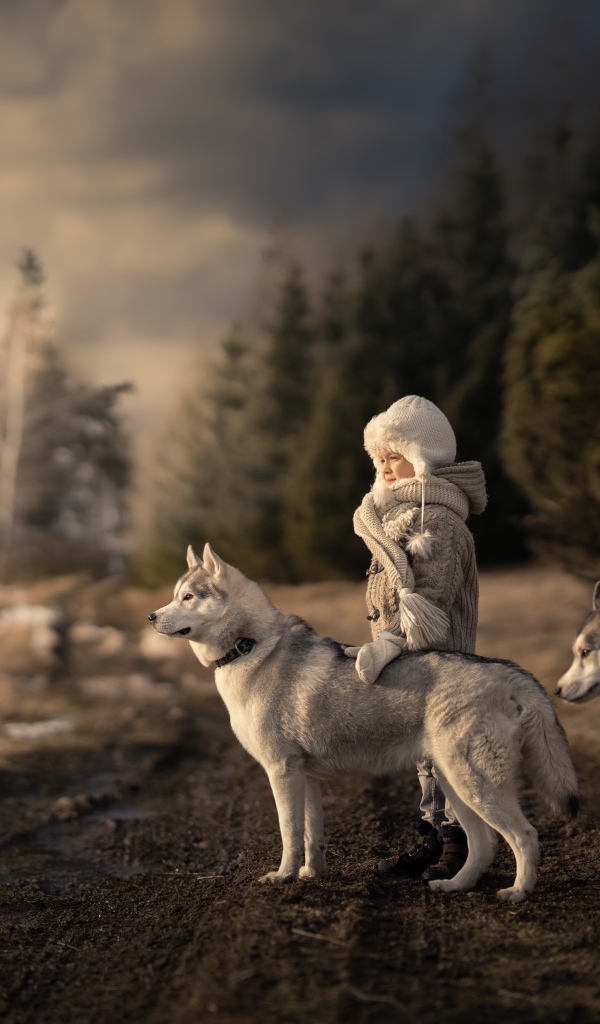Маленькая девочка с собаками хаски в лесу