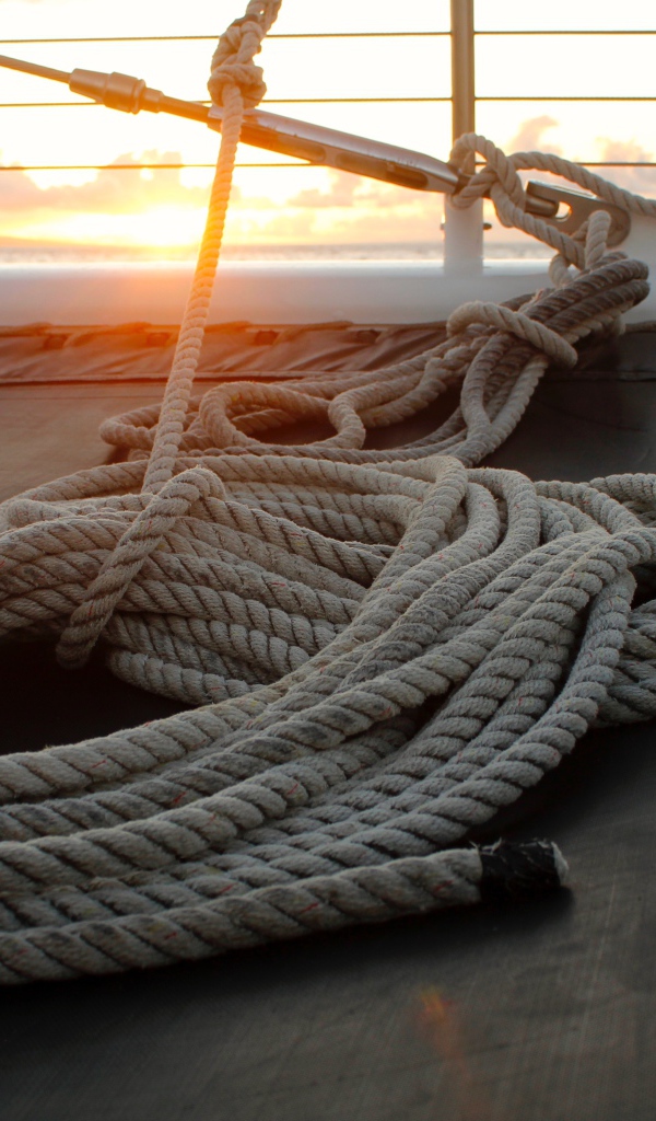 A harpoon with a rope lies on board the yacht