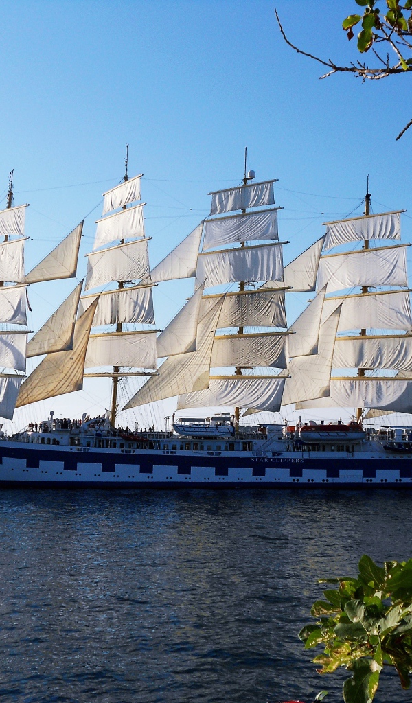 Большой корабль с белыми парусами идет в плаванье