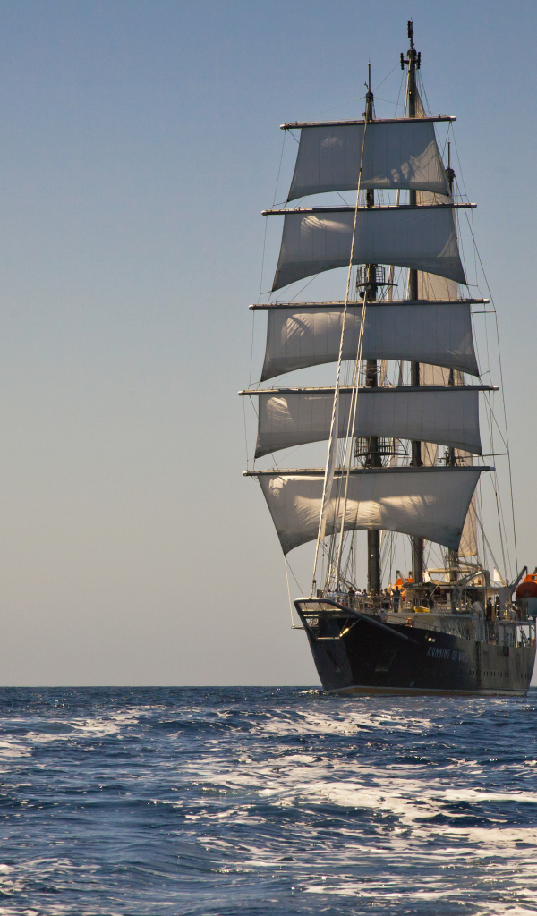 Большой корабль с белыми парусами в поле 