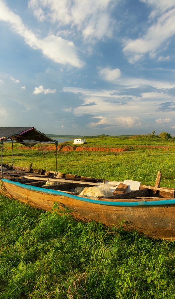Большая деревянная лодка на зеленой траве