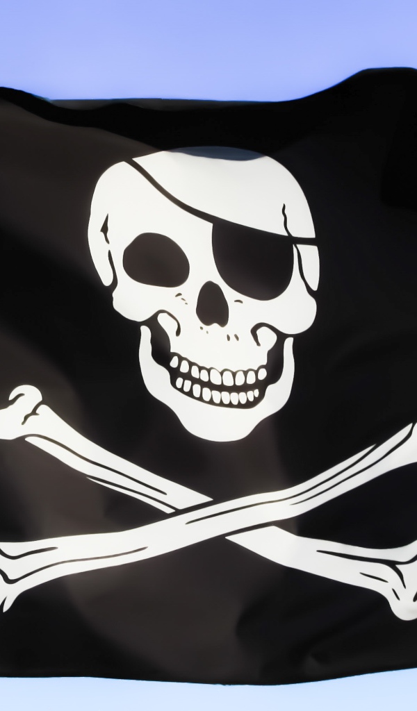 Pirate black flag with white skull