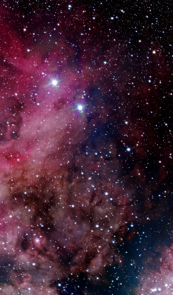 Красивый розовый млечный путь в ночном звездном небе