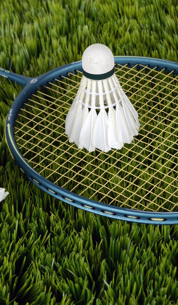 Badminton racket and shuttlecocks